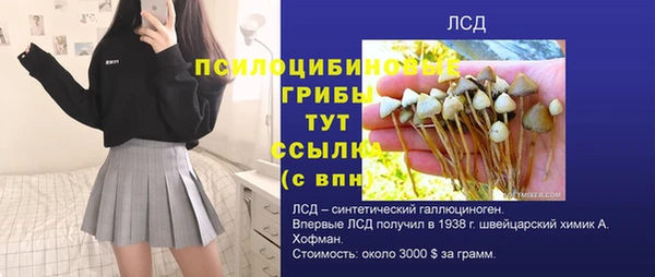амф Верхний Тагил