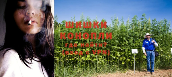 ешки Верея