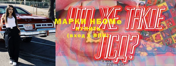 амф Верхний Тагил