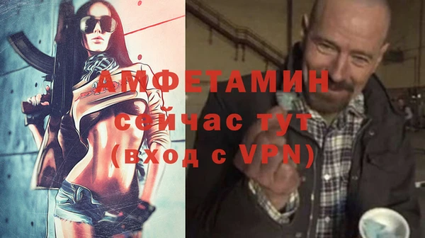 амф Верхний Тагил