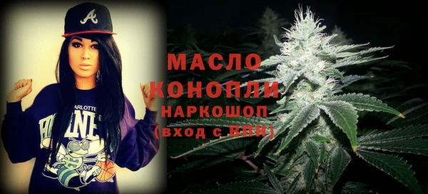 амф Верхний Тагил