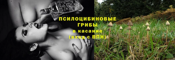 ешки Верея