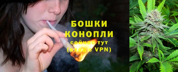 амф Верхний Тагил